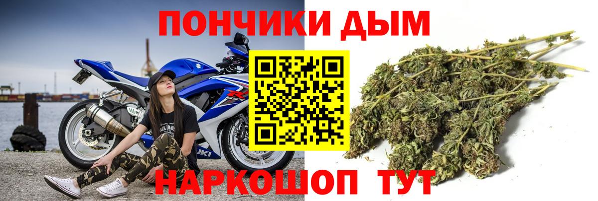 Шишки марихуана семена  Вход с VPN  Каннабис марихуана  Тара  Каннабис конопля  Марихуана Ganja 